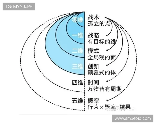 杭州排球队的阵地战解析与战术创新探讨
