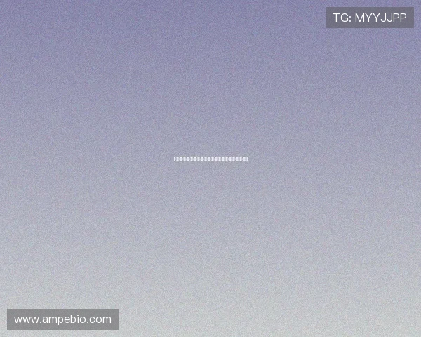 王军专访:探寻飞盘运动的成长与未来发展之路