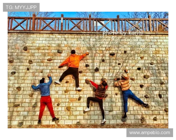 南京攀岩队实力分析与发展潜力探讨攀岩运动的未来展望